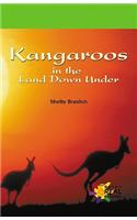 Kangaroos in the Land Down Und