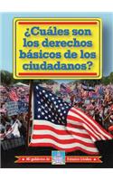 ¿Cuáles Son Los Derechos Básicos de Los Ciudadanos? (What Are Citizens' Basic Rights?)