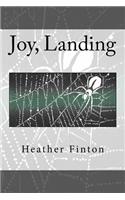 Joy, Landing