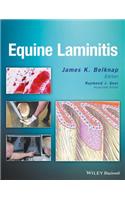 Equine Laminitis