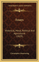 Essays