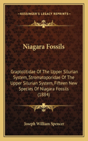 Niagara Fossils: Graptolitidae Of The Upper Silurian System, Stromatoporidae Of The Upper Silurian System, Fifteen New Species Of Niagara Fossils (1884)(English)