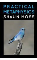 Practical Metaphysics