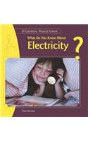 What Do You Know about Electricity?: (20 Questions: Physical Science)