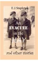 Evacuee in the Hay