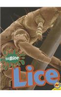 Lice