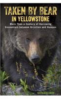 Taken by Bear in Yellowstone