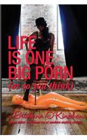 Life is One Big Porn (or so you think)