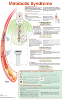 Metabolic Syndrome