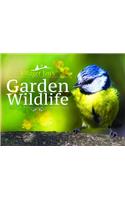 Villager Jim's Garden Wildlife