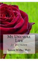 My Unusual Life