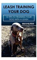 Leash Training Your Dog: 10 Tips to Training Your Dog with a Leash