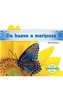 de Huevo a Mariposa (Becoming a Butterfly)