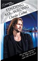 Finding Mr. Wrong: (41 Dreamspun Desires)
