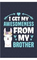 I Get My Awesomeness From My Brother