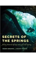 Secrets of the Springs
