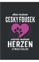 Ohne meinen Cesky Fousek