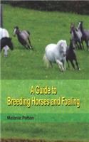 A Guide to Breeding Horses and Foaling
