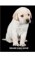 Labrador Puppy Journal: 7.44 x 9.69 inch dog notebook, story paper for kids, labrador retriever gift, composition book for kids, 200 pages