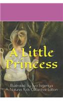 A Little Princess(illustrated by Eva Evgeniya)