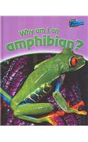 Why am I an Amphibian?