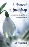 A Moment in Snowdrop