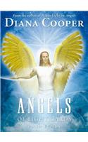 Angels of Light Cards Pocket Edition