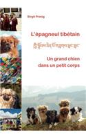 L'épagneul tibétain: Un grand chien dans un petit corps