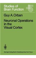 Neuronal Operations in the Visual Cortex