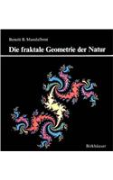 Die fraktale Geometrie der Natur