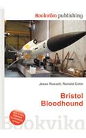 Bristol Bloodhound