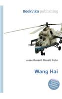 Wang Hai: (English)