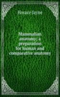 Mammalian anatomy