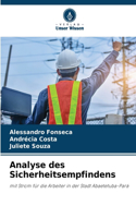 Analyse des Sicherheitsempfindens
