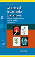 Anatomia de los Animales Domesticos T2