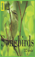 Songbirds calendar 2022: 12 Month Mini Calendar from Jan 2022 to Dec 2022, Cute Gift Idea - Pictures in Every Month