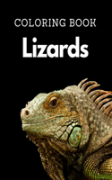 Lizards Coloring Book