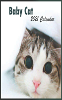 2121 baby cats calendar