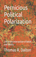 Pernicious Political Polarization