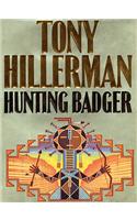 Hunting Badger