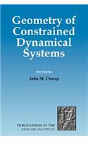 Geometry of Constrained Dynamical Systems