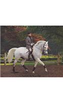 Dressage Principles Illuminated