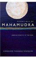 Essentials of Mahamudra: Looking Directly at the Mind