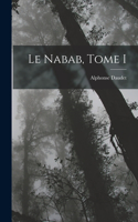 Le nabab, Tome I