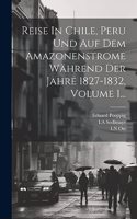 Reise In Chile, Peru Und Auf Dem Amazonenstrome Während Der Jahre 1827-1832, Volume 1...