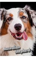 Australian Shepherd: 2020 Weekly Calendar 12 Months 107 pages 6 x 9 in. Planner Diary Organizer Agenda Appointment Half Spread Blank Pages