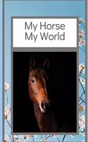 My Horse My World
