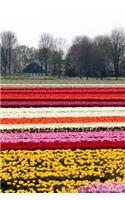 Colorful Field of Tulips in the Netherlands Journal: 150 Page Lined Notebook/Diary