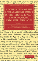 Compendium of the Comparative Grammar of the Indo-European, Sanskrit, Greek and Latin Languages: Volume 2