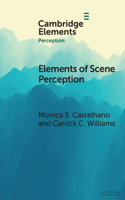 Elements of Scene Perception: (Elements in Perception)